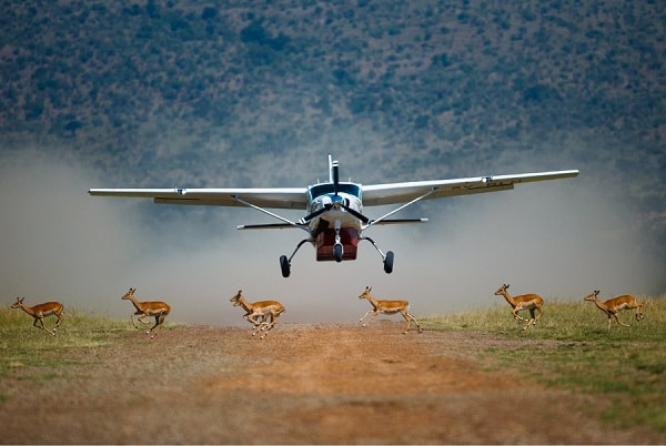 Kenya Luxury Flying Safari
